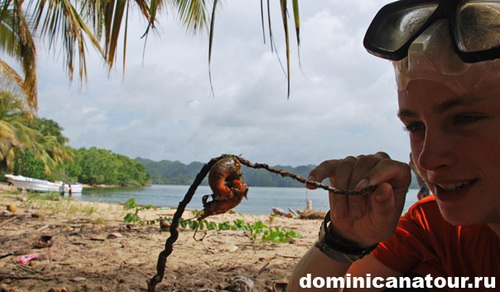 map dominicana photo