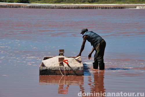 map dominicana photo