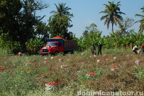 map dominicana photo