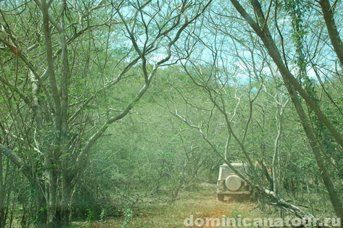 map dominicana photo