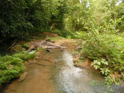 map dominicana photo