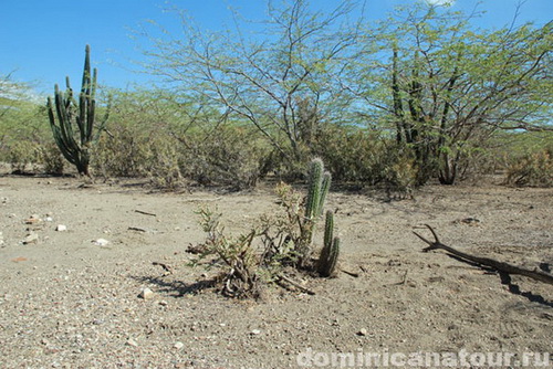 map dominicana photo