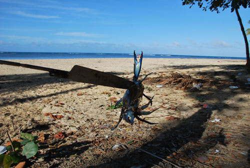 map dominicana photo