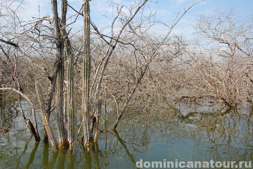 map dominicana photo