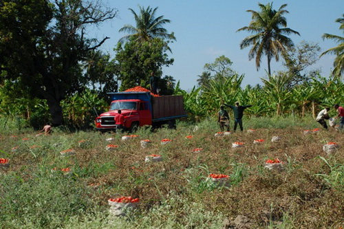 map dominicana photo