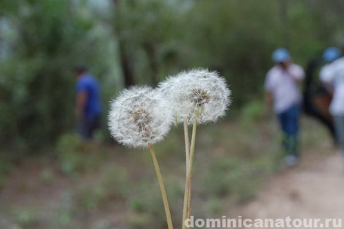 map dominicana photo