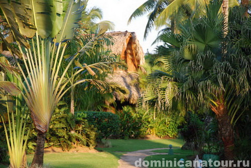 map dominicana photo