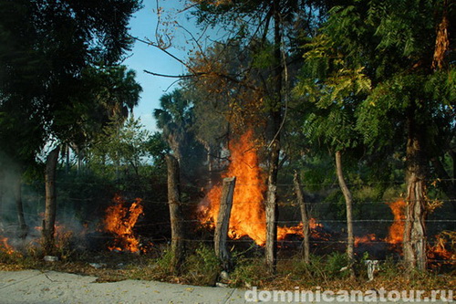 map dominicana photo