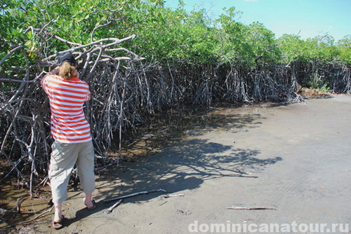 map dominicana photo