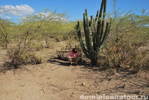 map dominicana photo