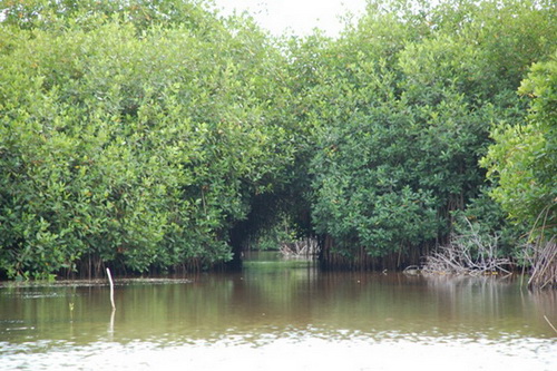 map dominicana photo