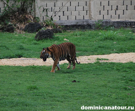 map dominicana photo