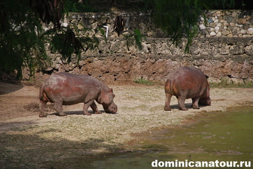 map dominicana photo