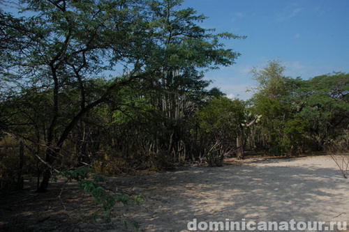 map dominicana photo