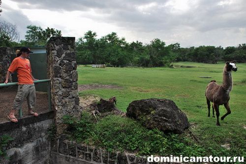 map dominicana photo