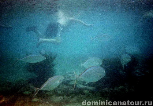 map dominicana photo