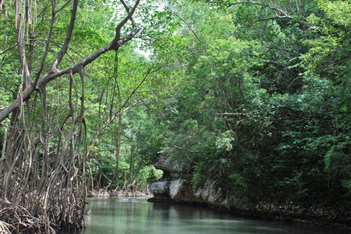 map dominicana photo