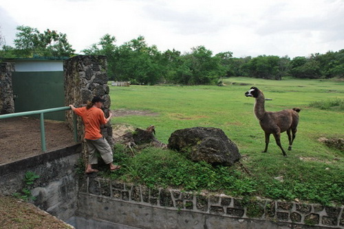 map dominicana photo