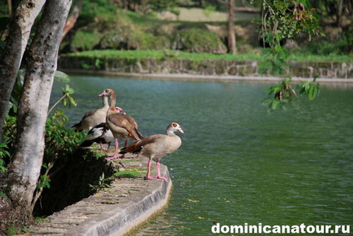 map dominicana photo