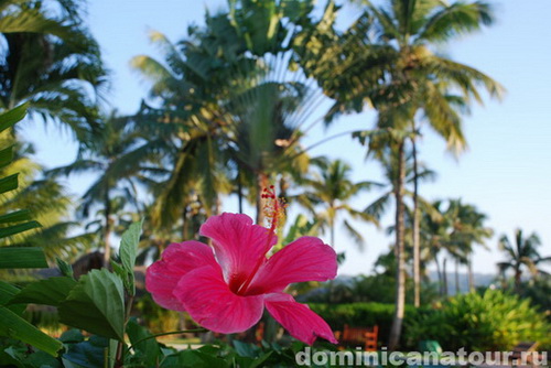 map dominicana photo