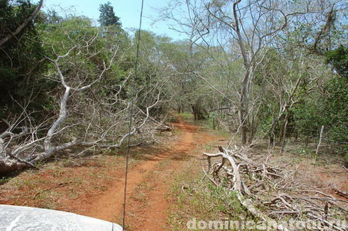 map dominicana photo