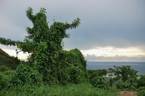 map dominicana photo