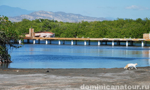 map dominicana photo