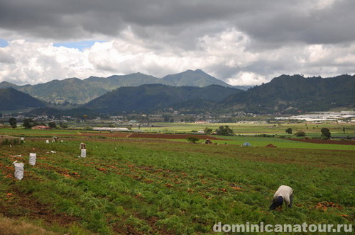 map dominicana photo