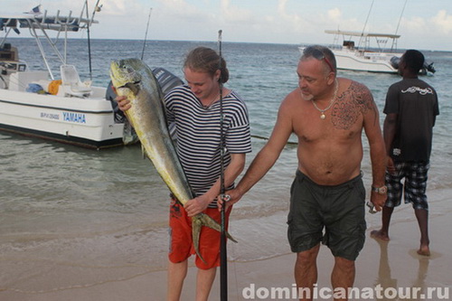 map dominicana photo