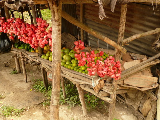 La Romana review map, republica dominicana
