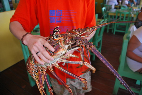 Punta Cana review map, republica dominicana