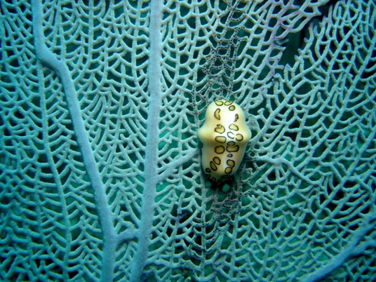 Punta Cana review map, republica dominicana