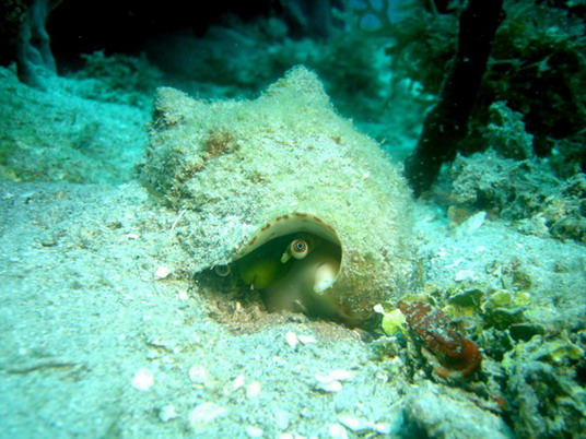 Punta Cana review map, republica dominicana