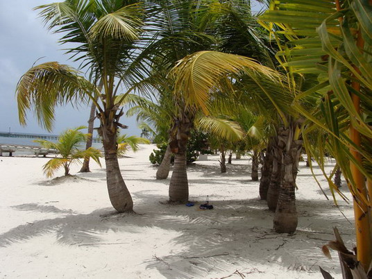 Punta Cana review map, republica dominicana