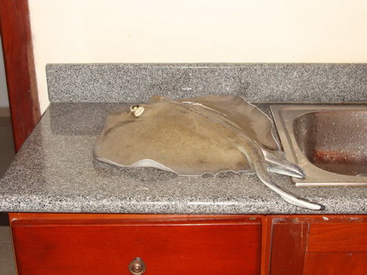 Punta Cana review map, republica dominicana