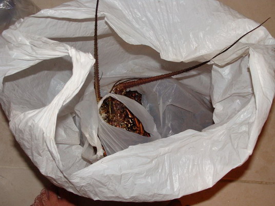 Punta Cana review map, republica dominicana