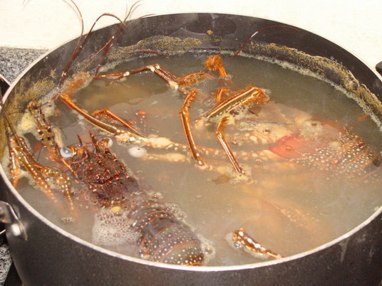 Punta Cana review map, republica dominicana