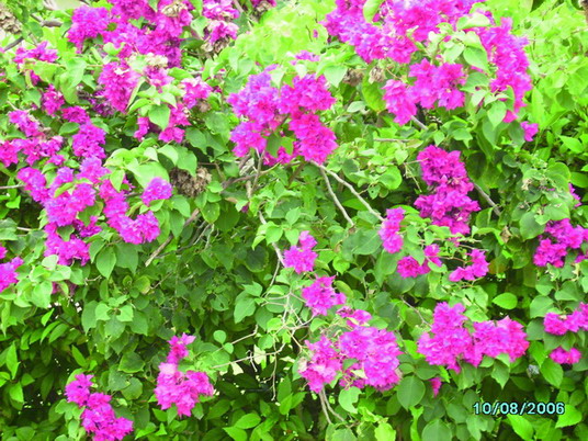 Punta Cana review map, republica dominicana