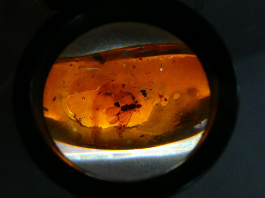 santo domingo review map, republica dominicana