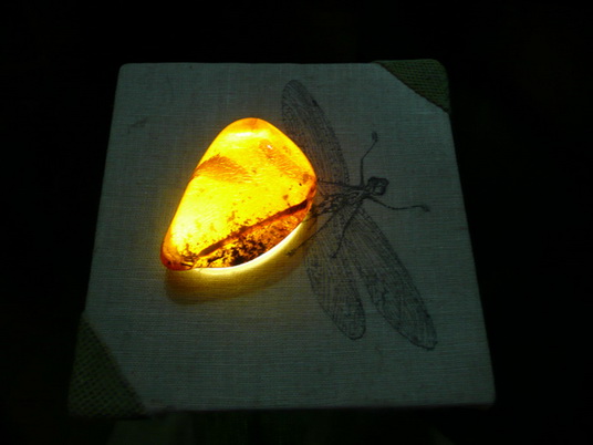 santo domingo review map, republica dominicana