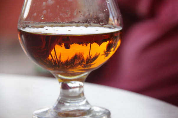 santo domingo review map, republica dominicana