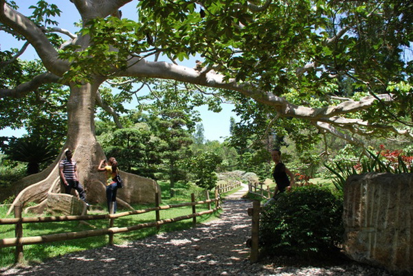 santo domingo review map, republica dominicana