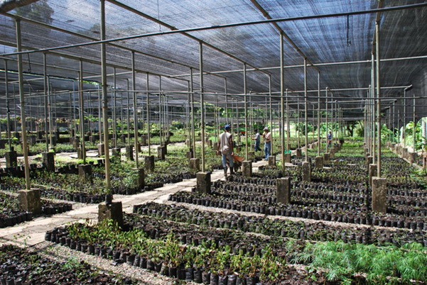 santo domingo review map, republica dominicana