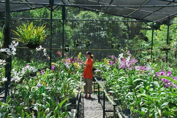 santo domingo review map, republica dominicana