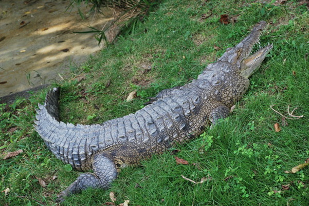 santo domingo review map, republica dominicana