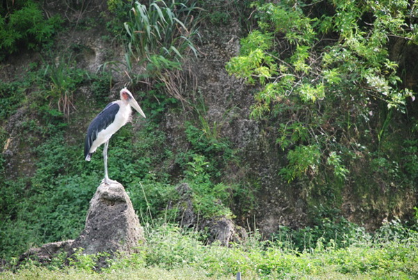 santo domingo review map, republica dominicana