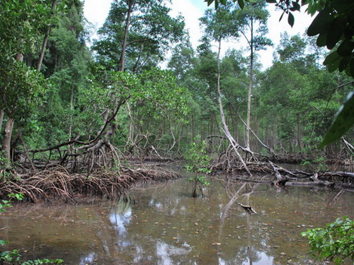 free road map Dominican Republic