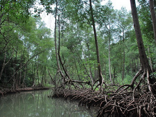 free road map Dominican Republic