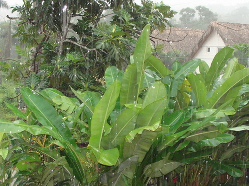 free road map Dominican Republic