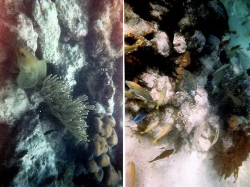 free road map Dominican Republic